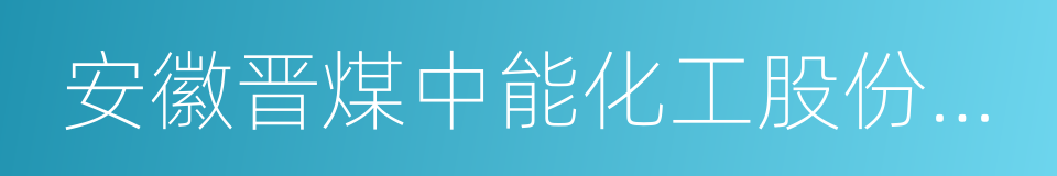 安徽晋煤中能化工股份有限公司的同义词