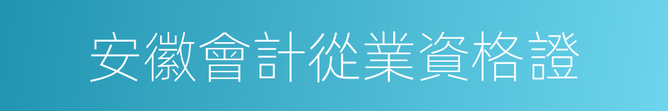 安徽會計從業資格證的同義詞