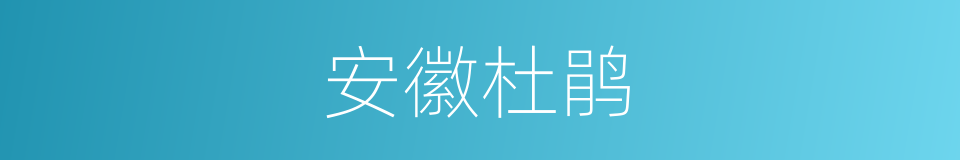 安徽杜鹃的同义词