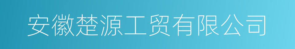 安徽楚源工贸有限公司的同义词