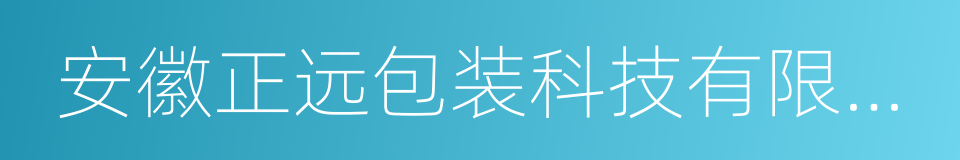 安徽正远包装科技有限公司的同义词