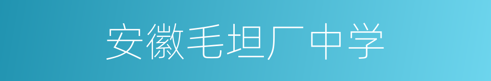 安徽毛坦厂中学的同义词