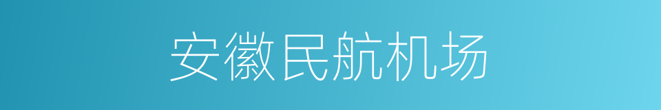 安徽民航机场的同义词