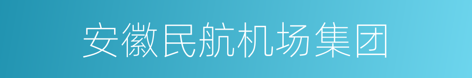 安徽民航机场集团的同义词
