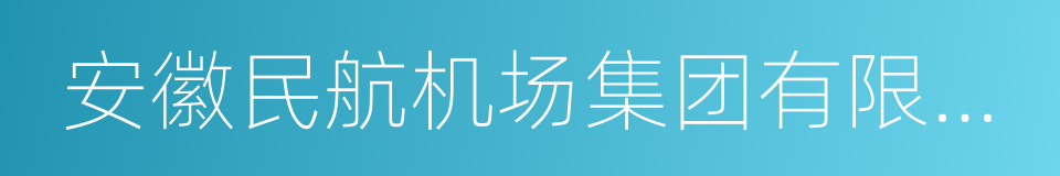 安徽民航机场集团有限公司的同义词