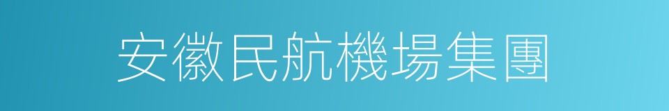 安徽民航機場集團的同義詞