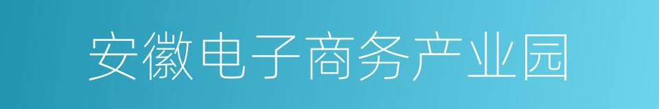 安徽电子商务产业园的同义词