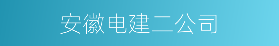 安徽电建二公司的同义词