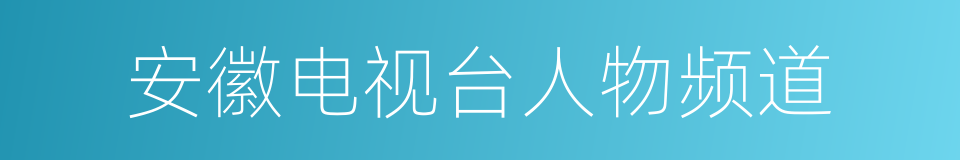 安徽电视台人物频道的同义词