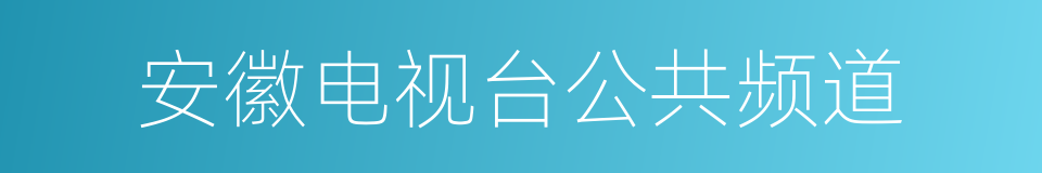 安徽电视台公共频道的同义词