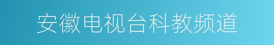 安徽电视台科教频道的同义词