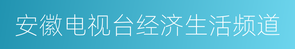 安徽电视台经济生活频道的同义词