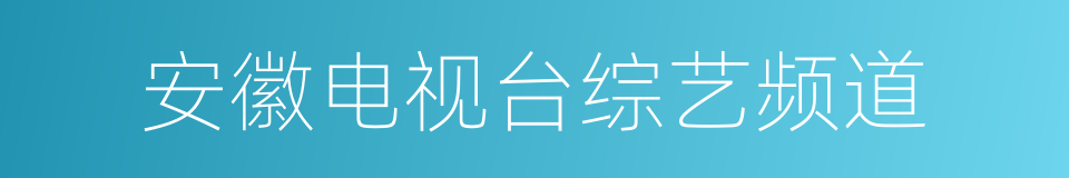 安徽电视台综艺频道的同义词