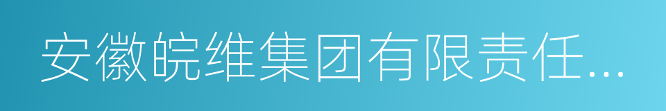 安徽皖维集团有限责任公司的同义词