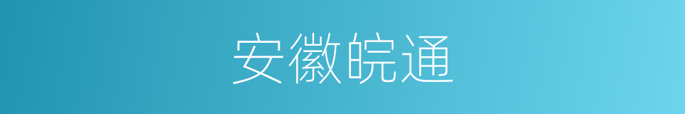 安徽皖通的同义词