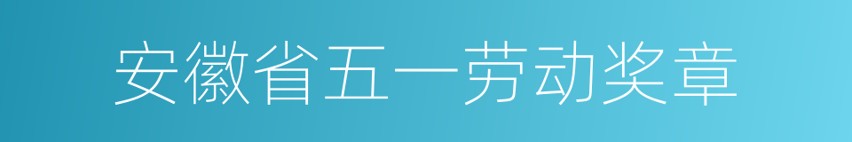 安徽省五一劳动奖章的同义词