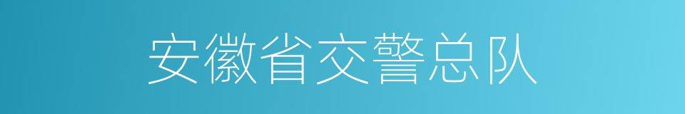 安徽省交警总队的同义词