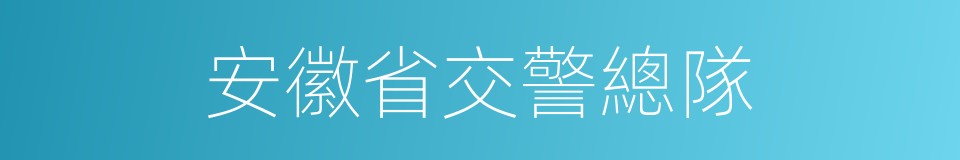 安徽省交警總隊的同義詞