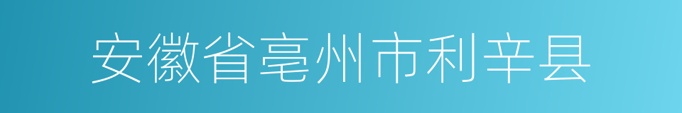 安徽省亳州市利辛县的同义词