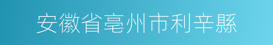 安徽省亳州市利辛縣的同義詞