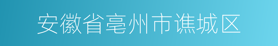 安徽省亳州市谯城区的同义词