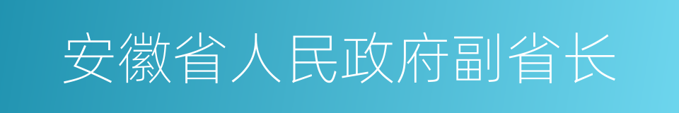 安徽省人民政府副省长的同义词