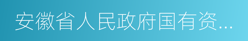 安徽省人民政府国有资产监督管理委员会的同义词