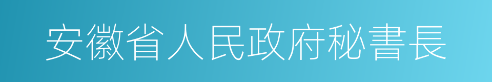 安徽省人民政府秘書長的同義詞