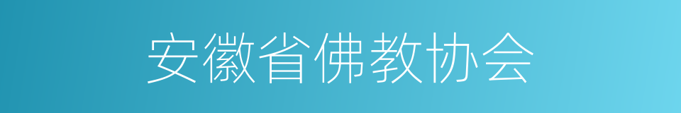 安徽省佛教协会的同义词