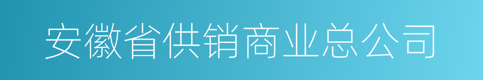 安徽省供销商业总公司的同义词