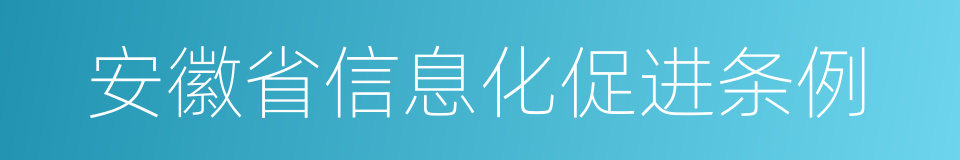 安徽省信息化促进条例的同义词