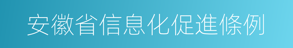 安徽省信息化促進條例的同義詞