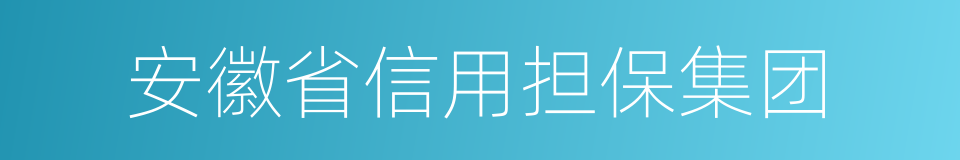 安徽省信用担保集团的同义词