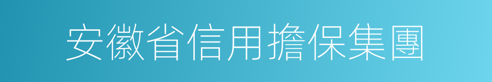 安徽省信用擔保集團的同義詞