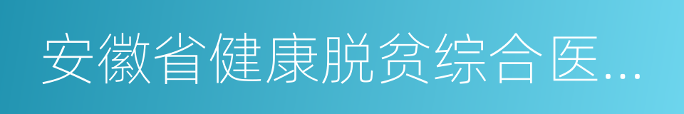 安徽省健康脱贫综合医疗保障实施细则的同义词