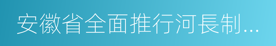 安徽省全面推行河長制工作方案的同義詞