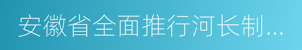 安徽省全面推行河长制工作方案的同义词