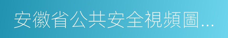 安徽省公共安全視頻圖像信息系統管理辦法的同義詞