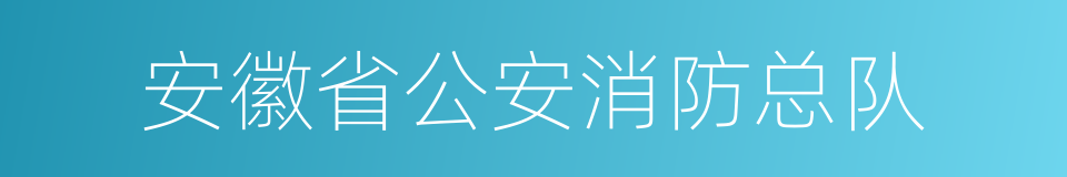 安徽省公安消防总队的同义词