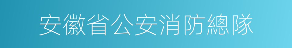 安徽省公安消防總隊的同義詞