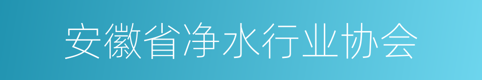 安徽省净水行业协会的同义词