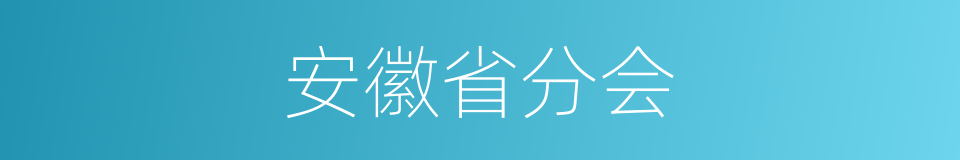 安徽省分会的同义词