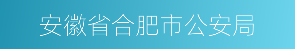 安徽省合肥市公安局的同义词