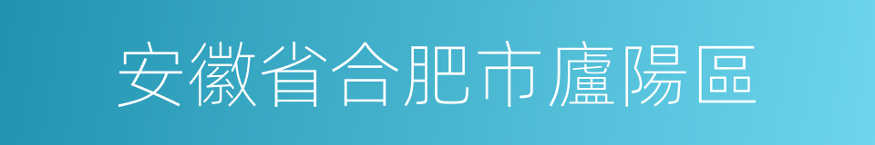 安徽省合肥市廬陽區的同義詞