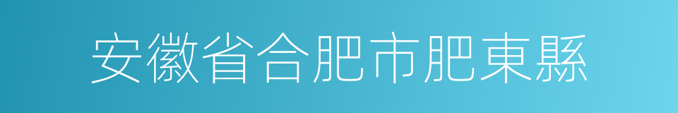 安徽省合肥市肥東縣的同義詞