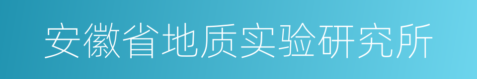 安徽省地质实验研究所的同义词