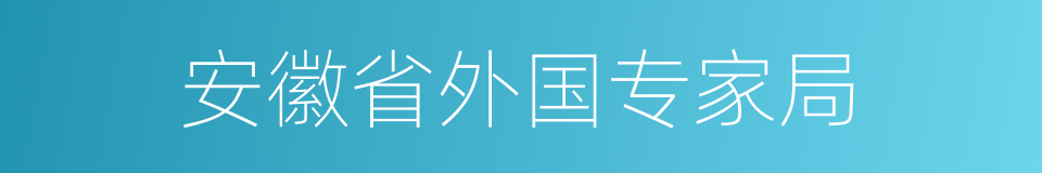 安徽省外国专家局的同义词