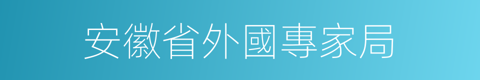 安徽省外國專家局的同義詞