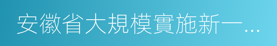 安徽省大規模實施新一輪技術改造推進方案的同義詞