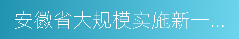 安徽省大规模实施新一轮技术改造推进方案的同义词